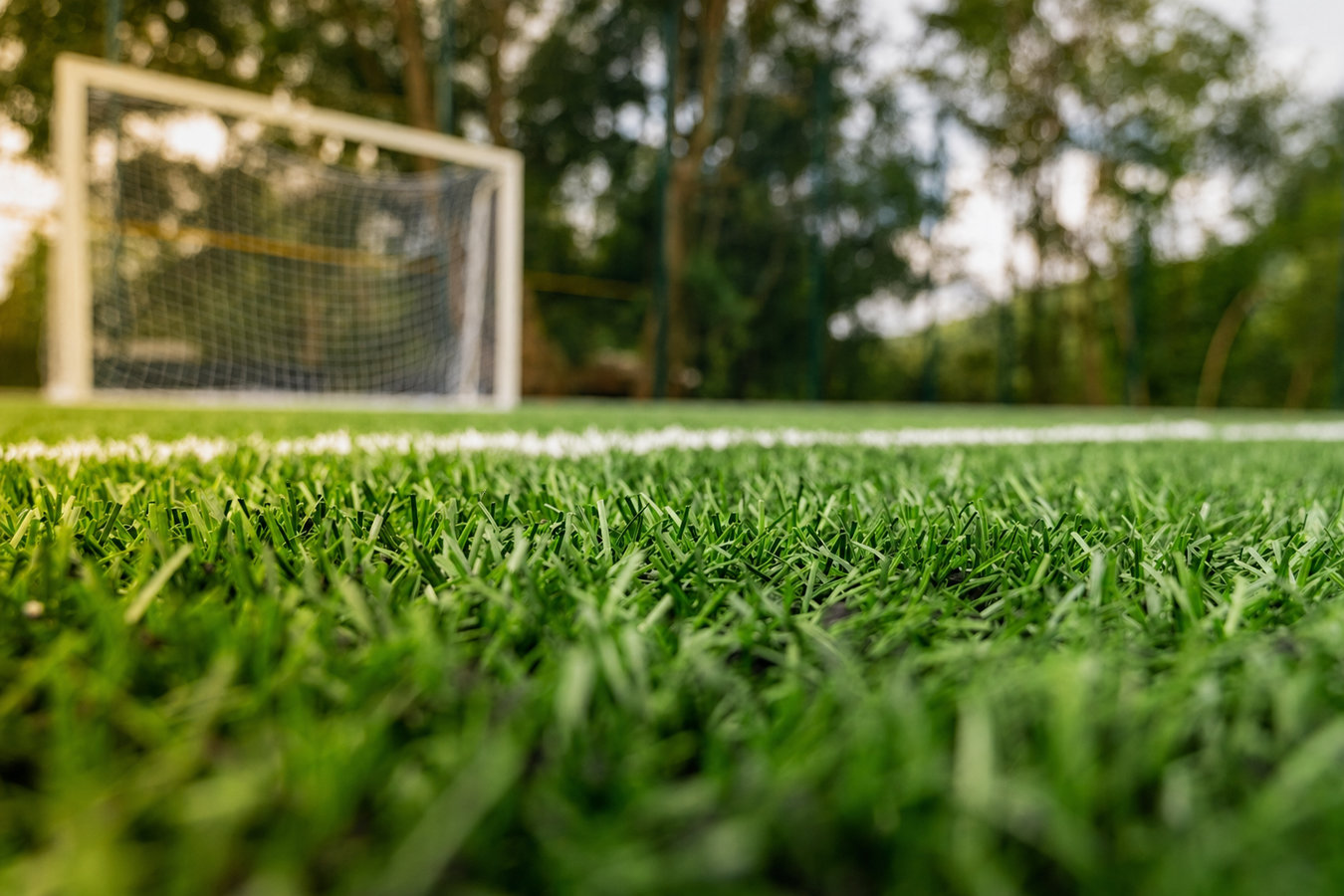 Sports turf supply